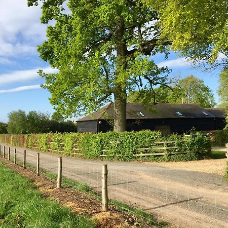 Mulberry Barn Bed & Breakfast Micheldever Екстериор снимка